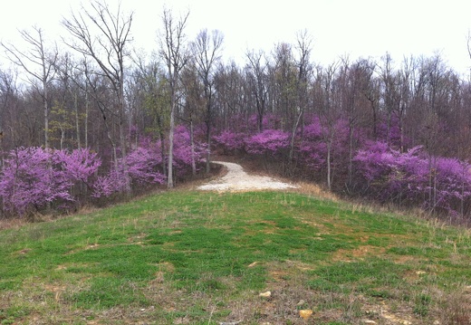 Lockegee Rock and Cave Run Lake